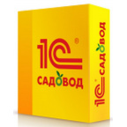 1c-box-new-sadovod_cr1_533147409